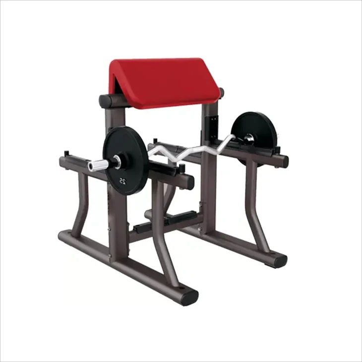 Arm Curl Bench：An Ideal Helper For Powerful Biceps Training best